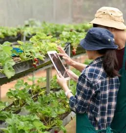 ravi garg, master software solutions, e-commerce industry, agricultural e-commerce, inventory management for seeds, fertilizers, and equipment, image