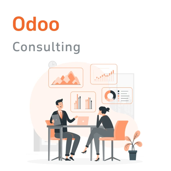ravi garg, master software solutions, odoo consulting services, odoo partner, odoo advisory
